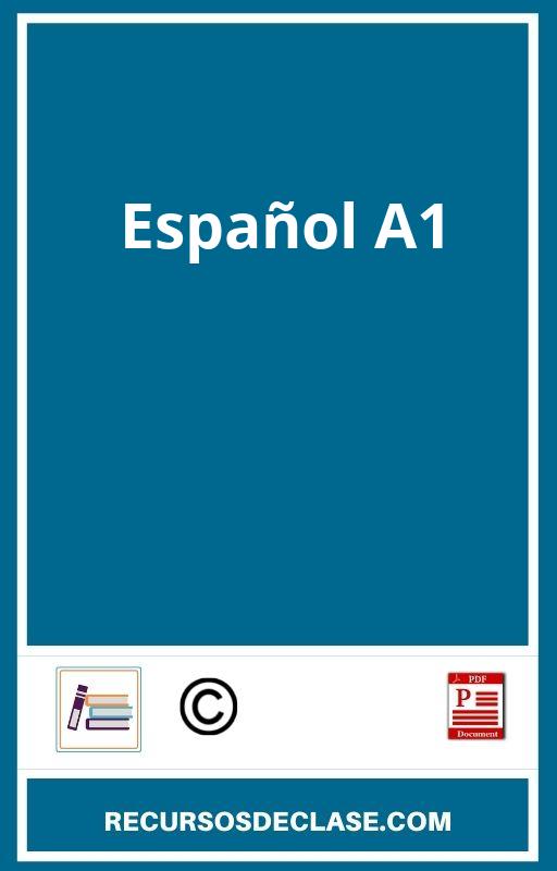 Ejercicios Español A1 PDF 2024