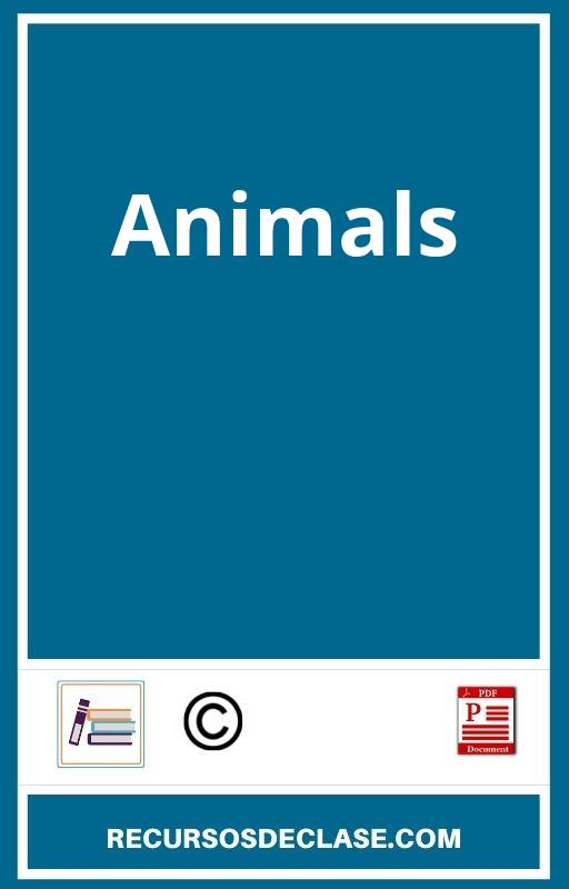 Animals PDF